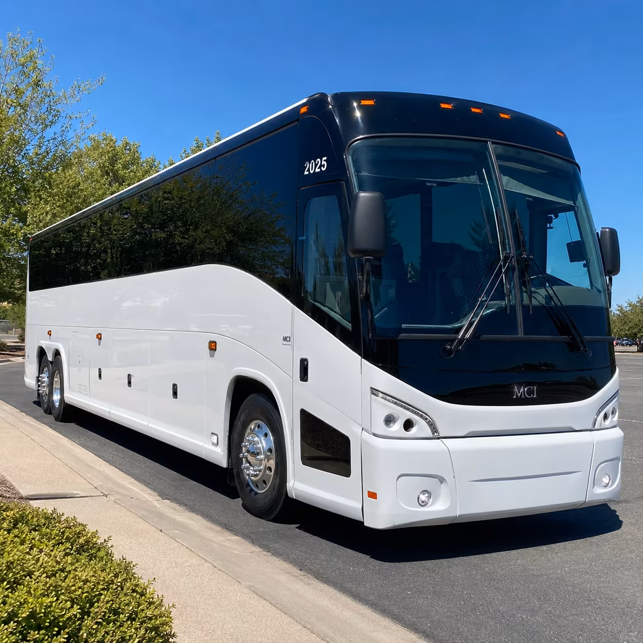 mission trips youth group travel and vbs transportation all in one place